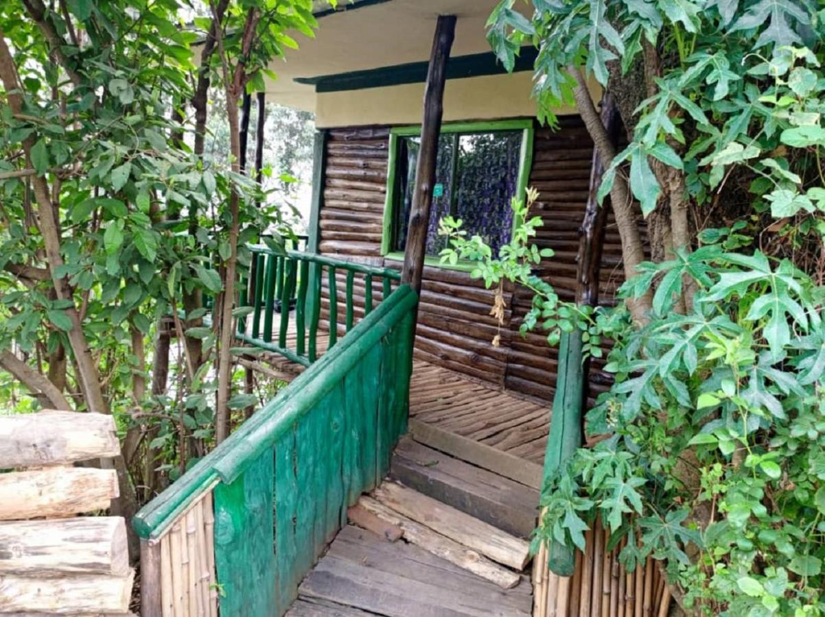 Ruhija Community Rest Camp Bed & Breakfast Kabale ภายนอก รูปภาพ